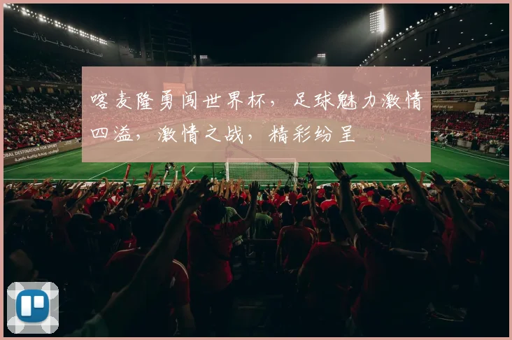 喀麦隆勇闯世界杯，足球魅力激情四溢，激情之战，精彩纷呈