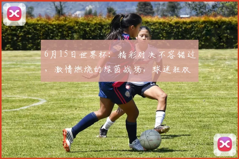 6月15日世界杯：精彩对决不容错过，激情燃烧的绿茵战场，球迷狂欢盛宴