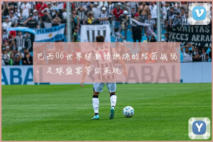 巴西06世界杯激情燃烧的绿茵战场，足球盛宴等你来观