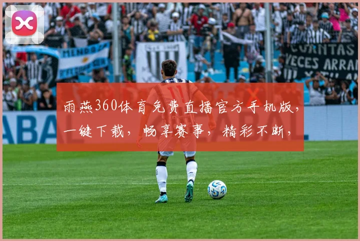 雨燕360体育免费直播官方手机版，一键下载，畅享赛事，精彩不断，中国球迷必备