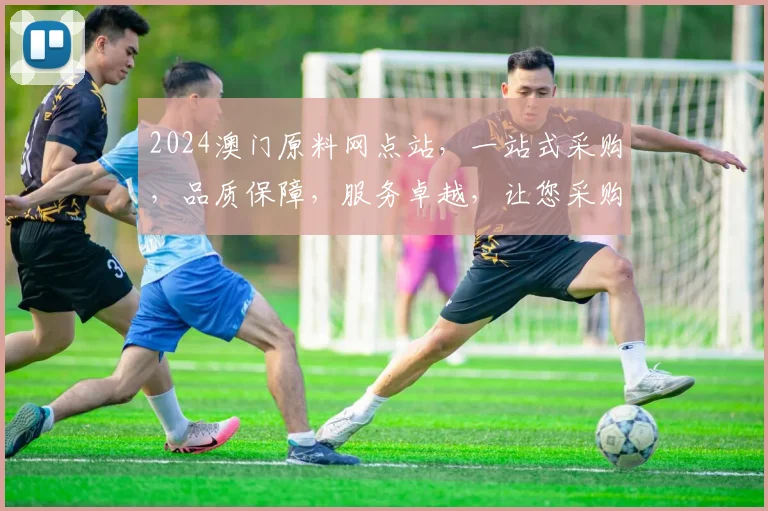 2024澳门原料网点站，一站式采购，品质保障，服务卓越，让您采购无忧