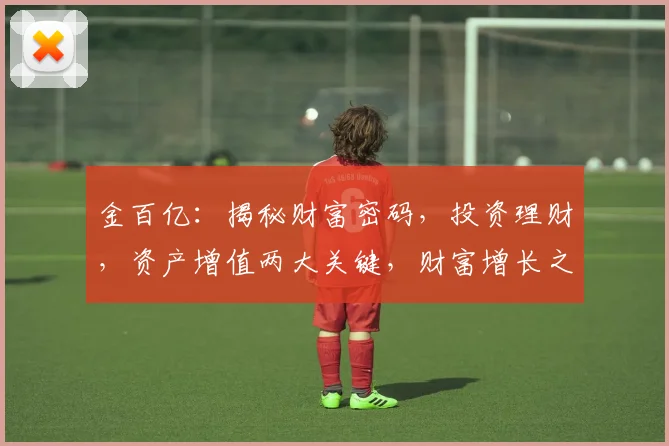金百亿：揭秘财富密码，投资理财，资产增值两大关键，财富增长之道。