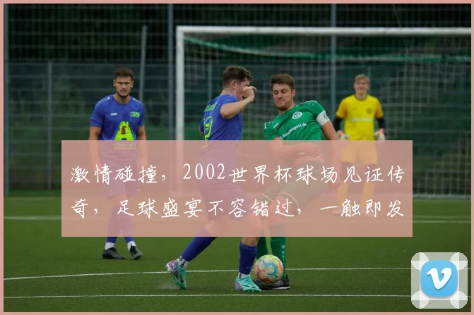激情碰撞，2002世界杯球场见证传奇，足球盛宴不容错过，一触即发